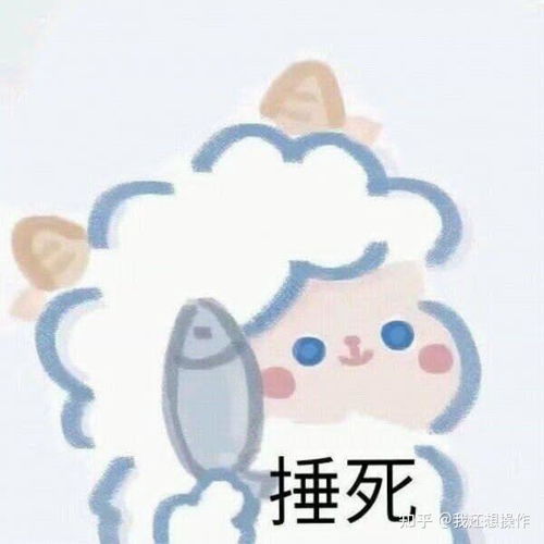 什么是建模