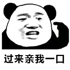 哄我不一定有用,但不哄我你死定了猫咪
