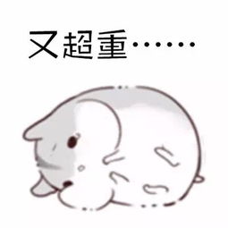 可爱的仓鼠表情包