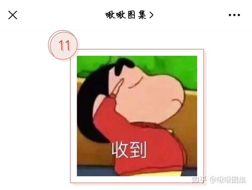 35关于回复收到的表情包