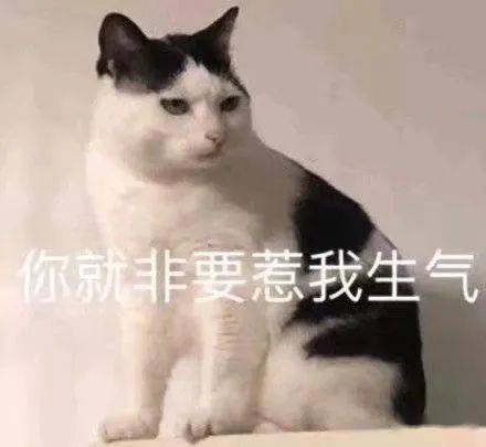 聊天可以没有表情包吗不可以