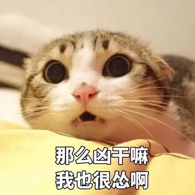 软弱无力狗头表情包