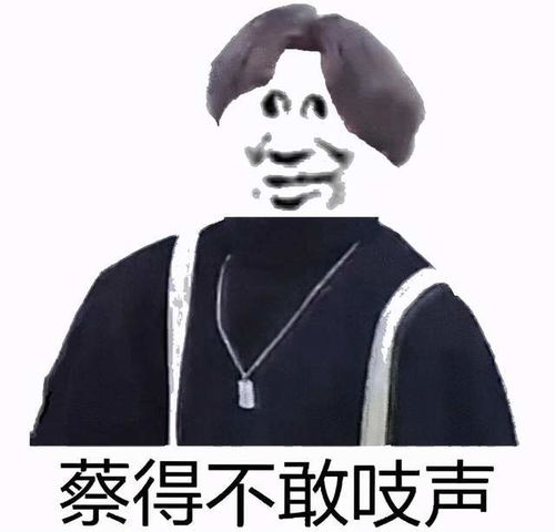 百万粉丝的老外主播,为一张成龙坐过的椅子,当众翻跟斗表演武术