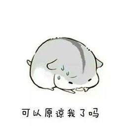 微信表情包以后就这样跟老婆认错,妥妥的