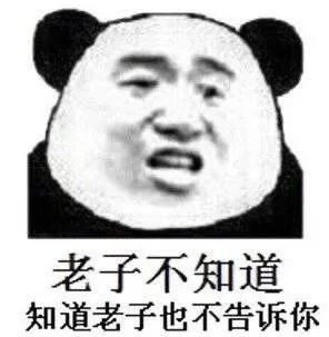 熊猫头表情包丨对不起,我爱的是游戏