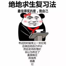 特辑期末来啦...........