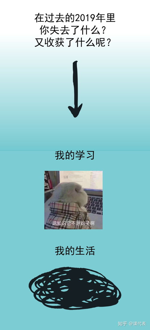 我的2019年终总结,活成一套表情包长图,建议收藏慢慢看