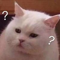 猫咪卖萌表情包带字表情包