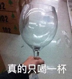 不知道如何委婉的拒绝喝酒基因检测你的酒量,证明你真的不能喝