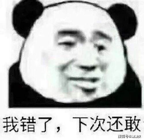 热门表情包图片微信信息,你敢不秒回试试看