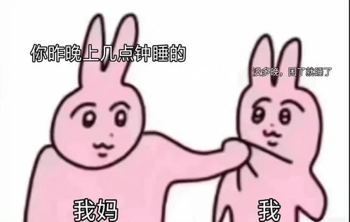 假期生存指南小安教你如何做到寒假三天不挨打