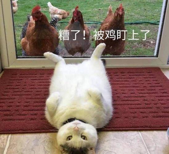 笑话十条朋友来访,在海鲜酒楼点了几个大螃蟹