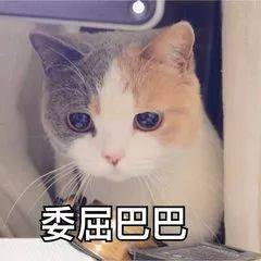 你的准考证照片是不是丑哭啦
