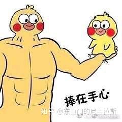 求大佬给各种各样小黄鸡表情包感谢