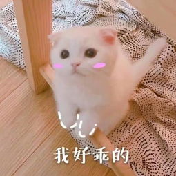这9种qq头像的小仙女千万别乱撩第一个能把你按地上打最后一个不能撩