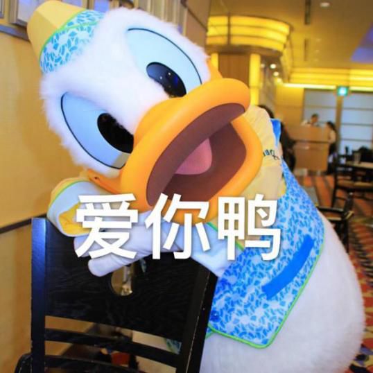 终于知道了是什么让快乐肥宅ai不释手