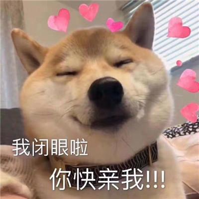 狗子表情包你小子