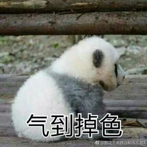 38仙女节妹子集体吐槽男友送的奇葩礼物