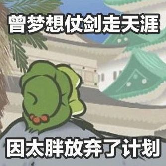 被陈晓景甜笑到飞起好一对单纯不做作的接地气cp