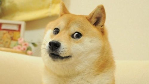 柴犬doge表情包原型病危,各国网友纷纷留言......