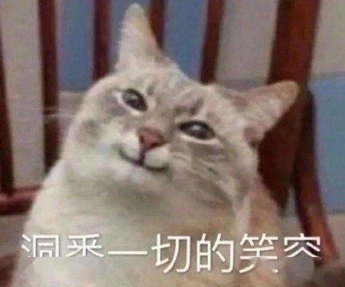 沙雕表情即将失去耐心