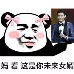 抖音妈看这是你未来女婿表情包