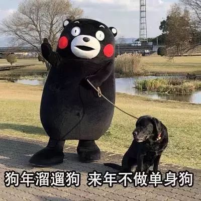 春节特辑丨没有仪式感的春节,是过节还是渡劫