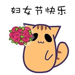 翔通动漫原创表情黑眼猫