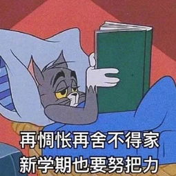 即将回到鲁美的你,开学前最不能忍的事情是