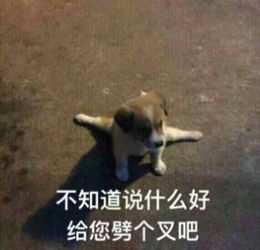 无助表情包图片大全合照