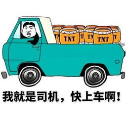 老司机带带我,火爆了这表情包