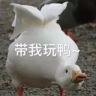 亏哭了双12凌晨有人只用了0.18元就提走两双斯凯奇鞋.....