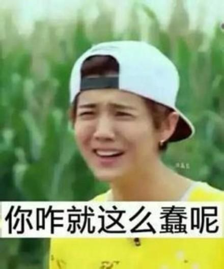 苹果8p能不能更新ios14