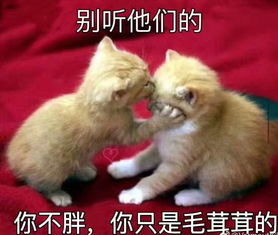 广东主帅希望第二回合赢回来