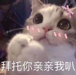 互撩表情包给你一个亲亲