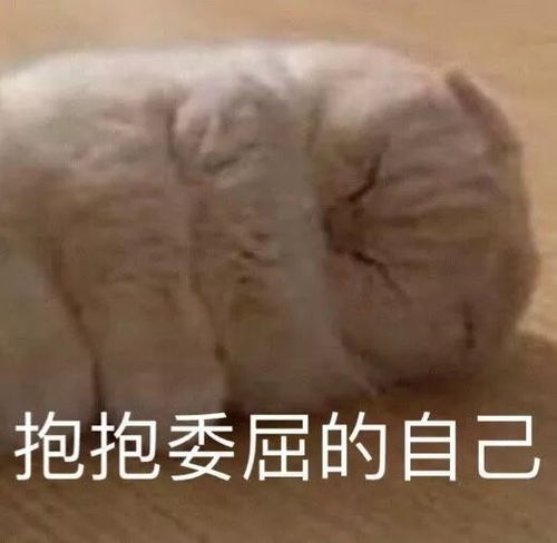 有没有什么可爱又沙雕的网名or个签