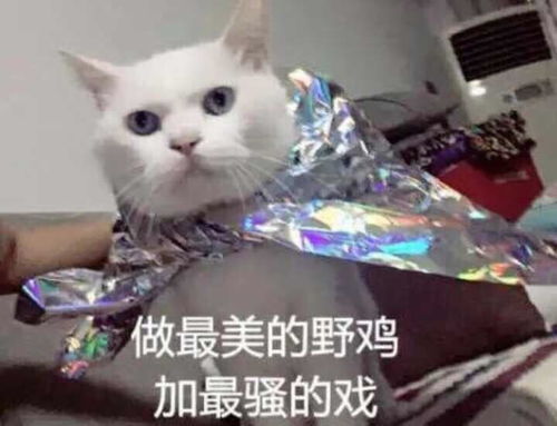 今日神段丨不瞒你说,当年舍不得睡觉就是怕错过老师的骚口音哈哈