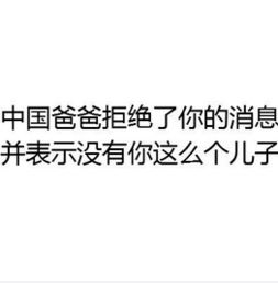 中国爸爸并不想和你说话表情微信不想和你说话系列聊天表情
