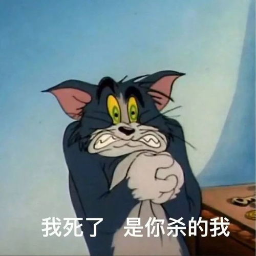 微信表情包图片聊天撩人斗图常用