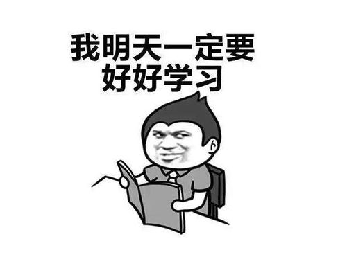 英语和数学不好的人能学it吗