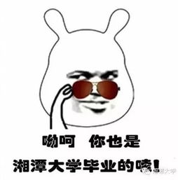 敢斗图吗湘大专属表情包,就不信你不收藏