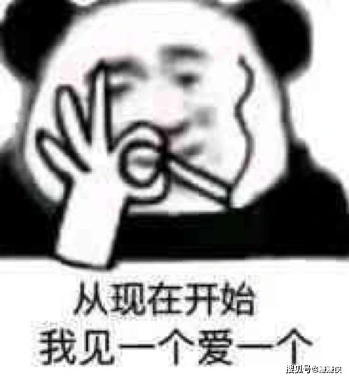 必备表情包图片我不知道,不关我事,别乱说啊
