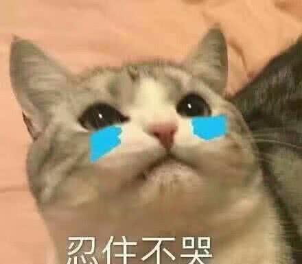 表情当男朋友凶你的时候拿出你的必杀技,斩他个措手不及表情