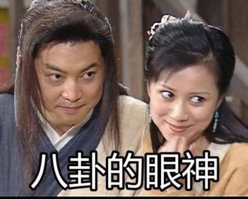 惊杨迪自立门户动物情报局,汪涵尴尬了