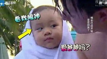 包贝尔女儿表情包上线综艺一姐甜馨地位不保啦