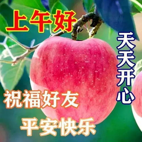 不用打字就可以聊天的图片