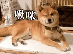 内含开奖紧身牛仔裤out了,今年秋天最流行的裤子长这样