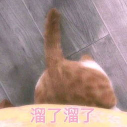 张国荣真的有那么帅吗