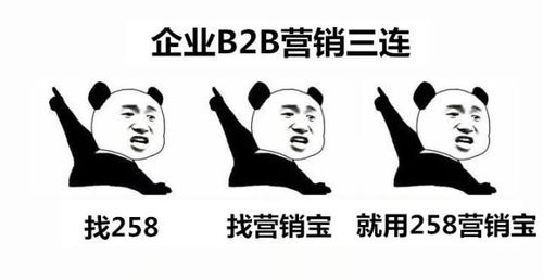听说企业b2b营销都是这么找客户的