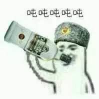 毛子你看nm呢表情包